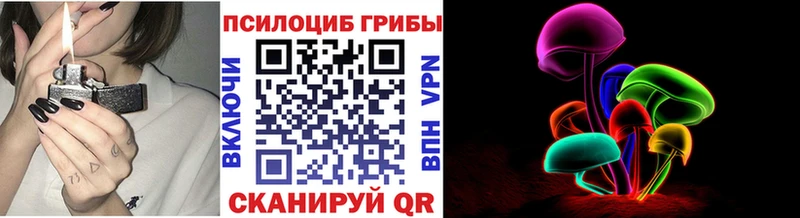 Псилоцибиновые грибы Psilocybine cubensis  МЕГА зеркало  Пучеж 
